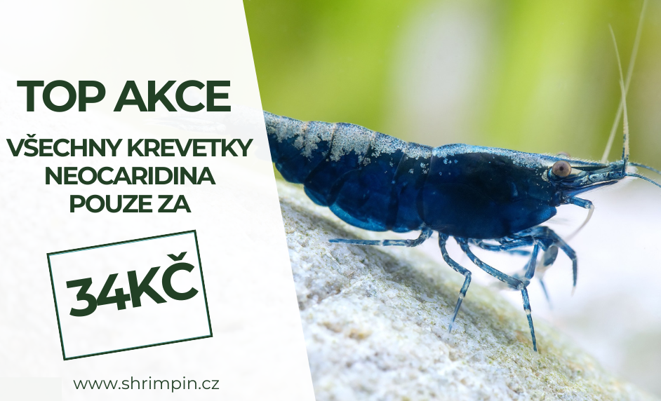 Promo akcia