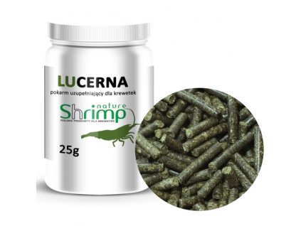 Lucerna (1)