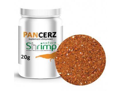 pancerz20 (1)