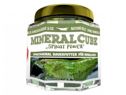 1NatureHolic mineralcube spinatpower 2 600x600