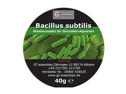 GT essentials Bacillus subtilis 4g (Vzorek)