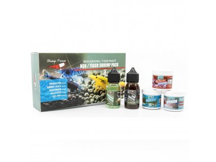 shrimps forever shrimps forever neocaridina tiger