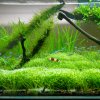 Aquarium Fish Tank Moss Plant Stainless Steel Mesh Fern Stainless Steel Wire Mesh Pad Water Grass