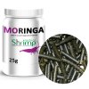 moringa