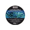 GT essentials Lactobacillus 40g