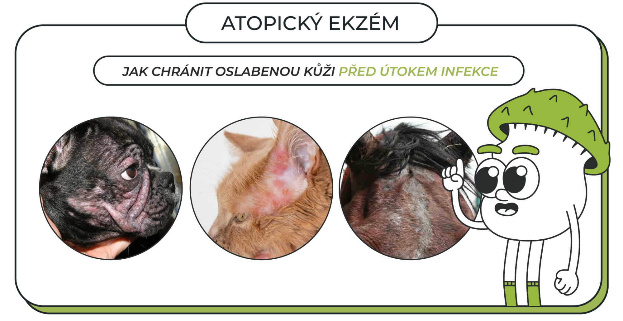 Atopický ekzém: Jak chránit oslabenou kůži před útokem infekce