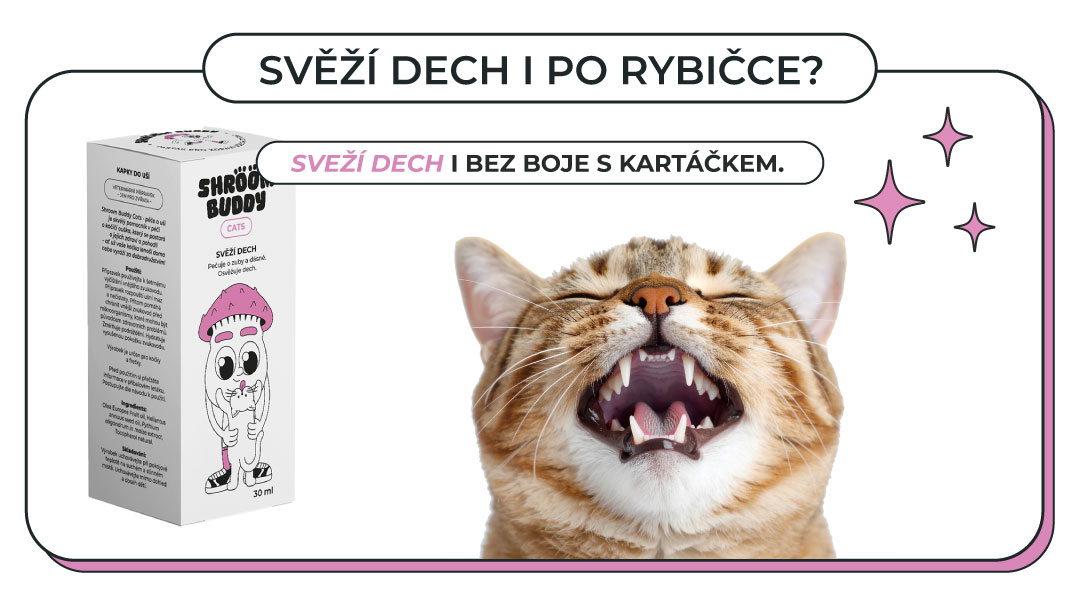 Svěží dech i po rybičce?