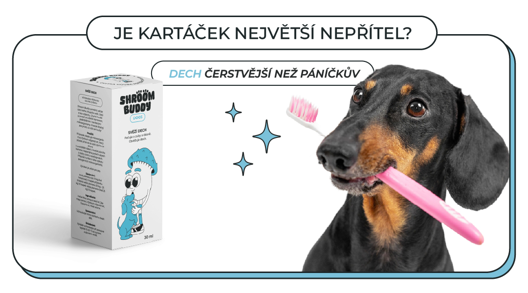 Dech čerstvější než páníčkův s kapkami od ShroomBuddy