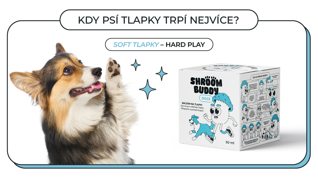 Soft tlapky - hard play