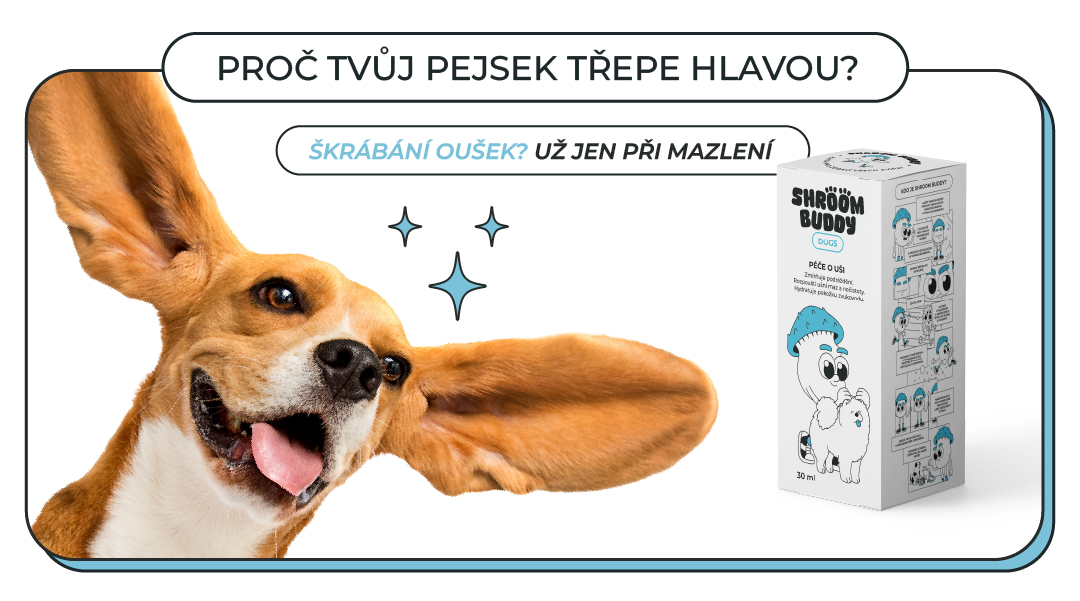 Škrábání psích oušek? Už jen při mazlení!