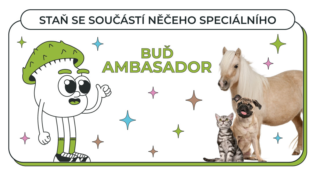 STAŇ SE AMBASADOREM SHROOM BUDDY