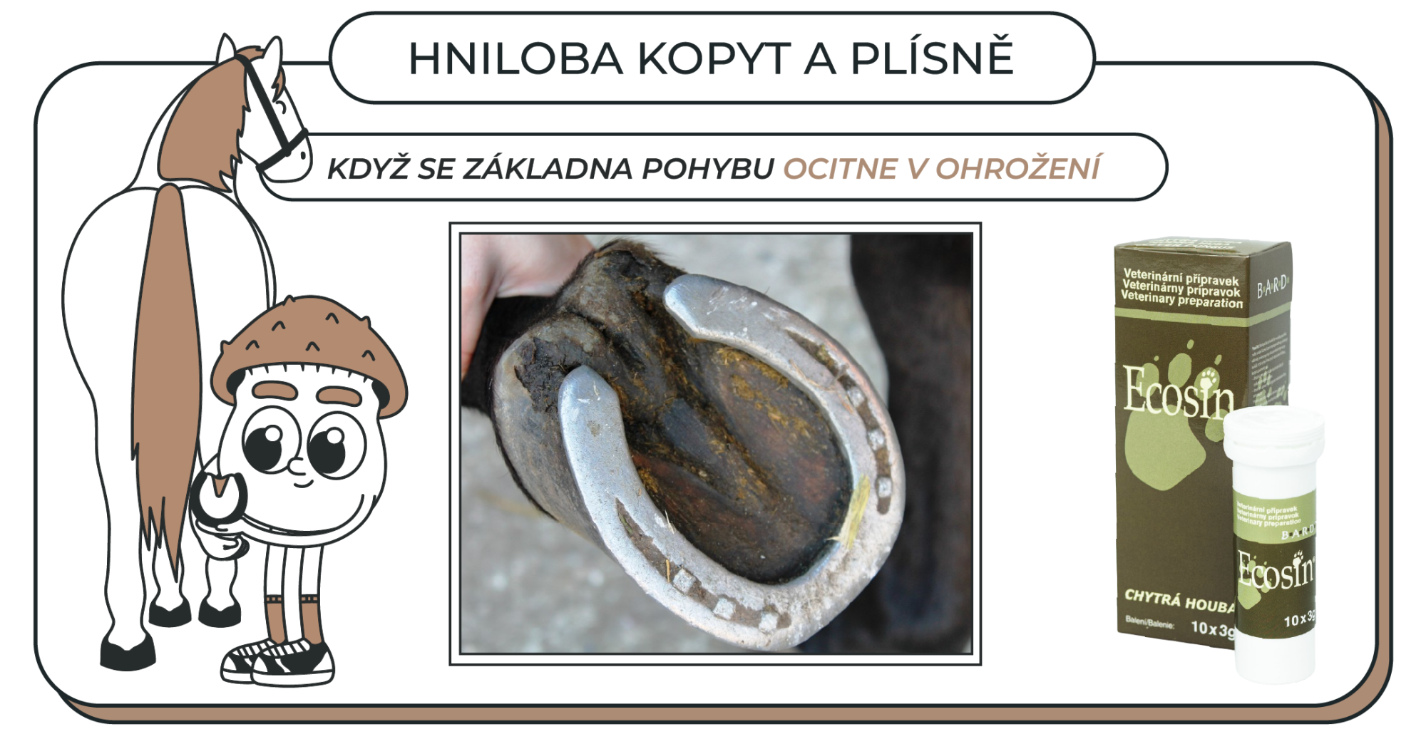 Hniloba kopyt a plísně: Když se základna pohybu ocitne v ohrožení
