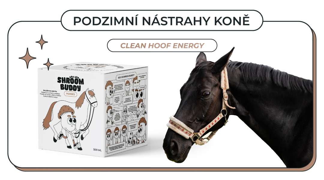 Balzám na kopyta s chytrým složením