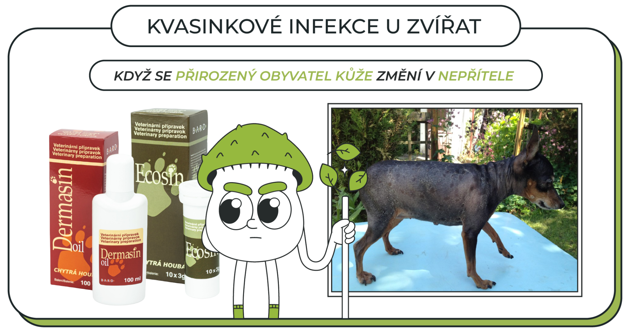 Kvasinkové infekce: Když se přirozený obyvatel kůže změní v nepřítele