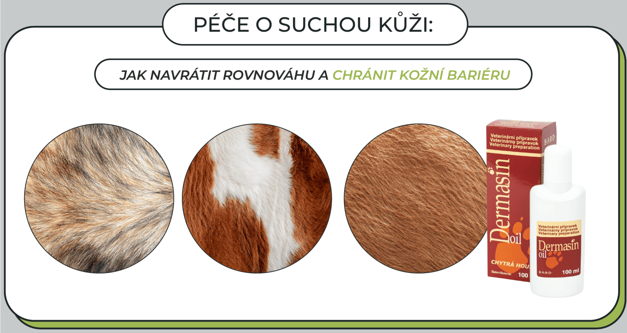 Péče o suchou kůži: Jak navrátit rovnováhu a chránit kožní bariéru