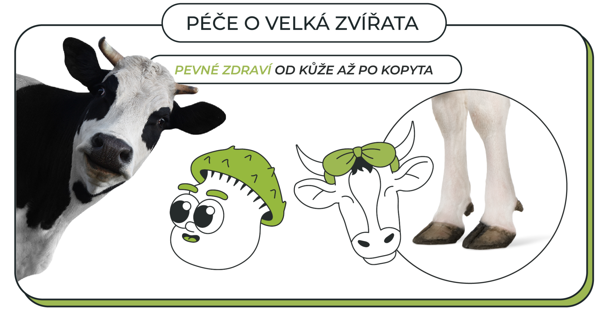 Péče o velká zvířata: Pevné zdraví od kůže až po kopyta