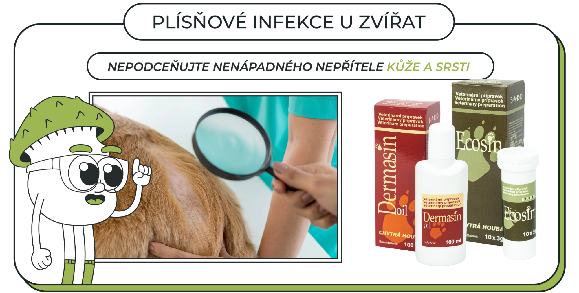 Plísňové infekce u zvířat: Nepodceňujte nenápadného nepřítele kůže a srsti