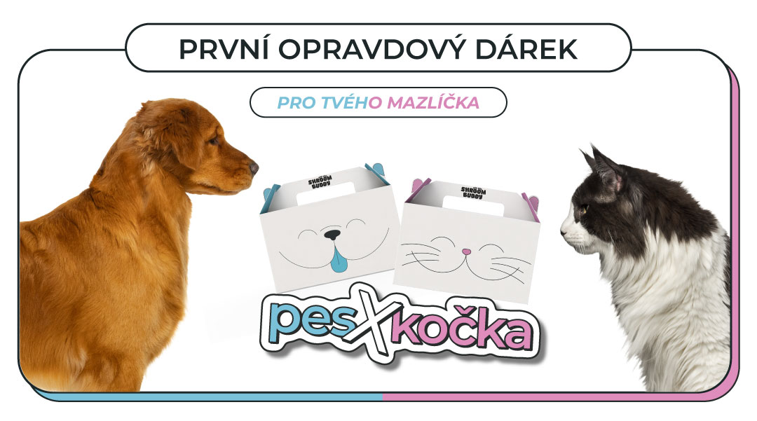 První opravdový dárek pro mazlíčky