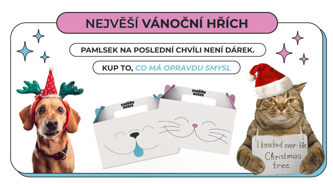 VÁNOČNÍ HŘÍCH a proč je pamlsek „na poslední chvíli“ selháním páníčka