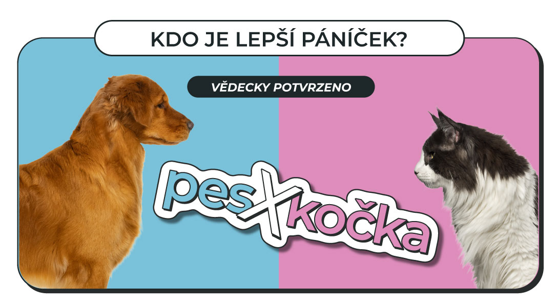 Věda rozhodla: kdo je lepší páníček?