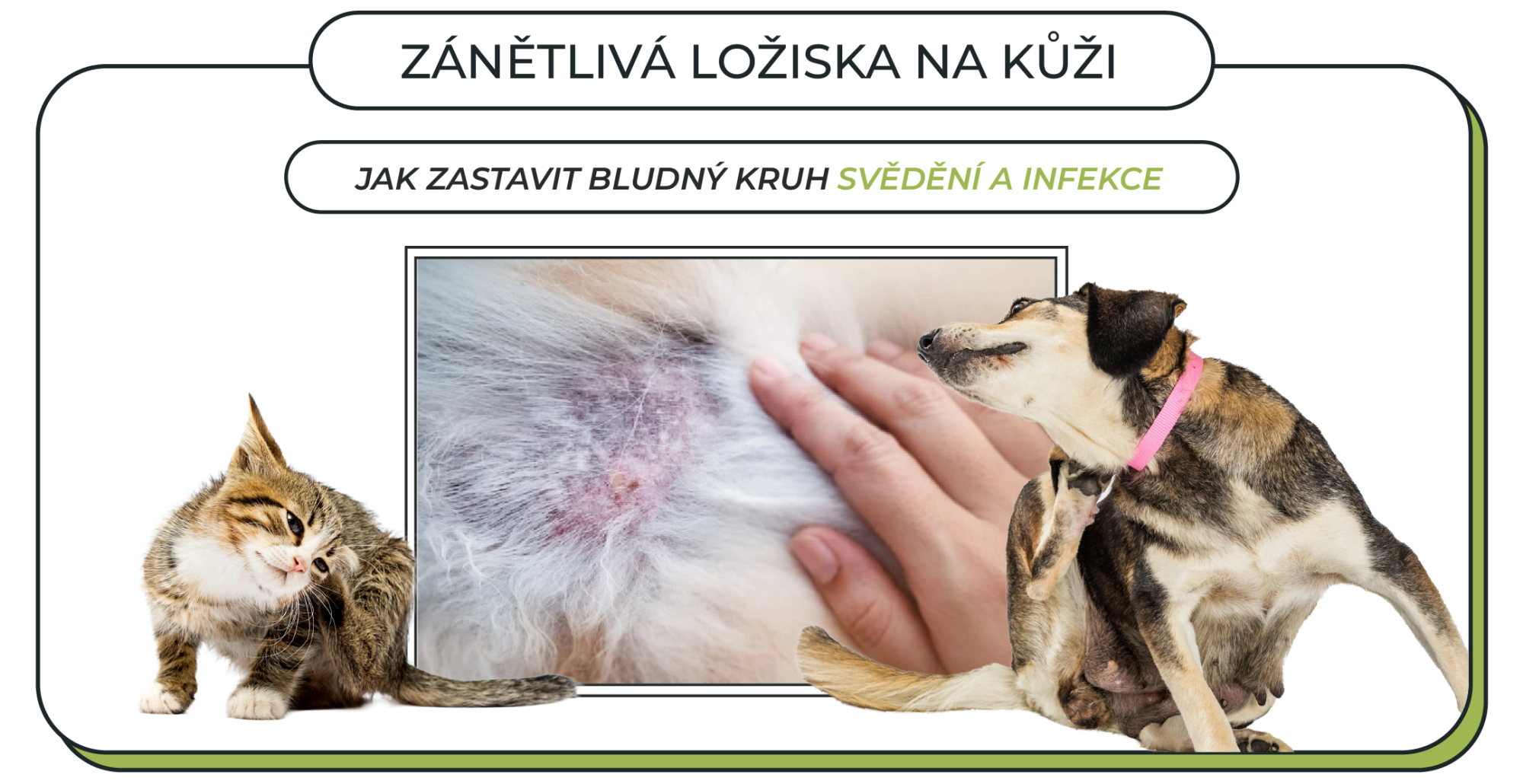 Zánětlivá ložiska na kůži: Jak zastavit bludný kruh svědění a infekce
