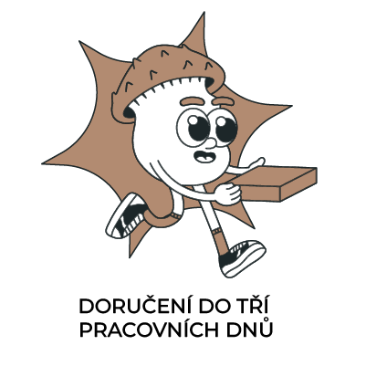 DORUČENÍ DO TŘÍ DNŮ