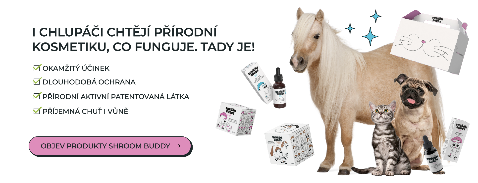 Shroom Buddy – Parťák pro zdraví tvého nejlepšího kámoše!