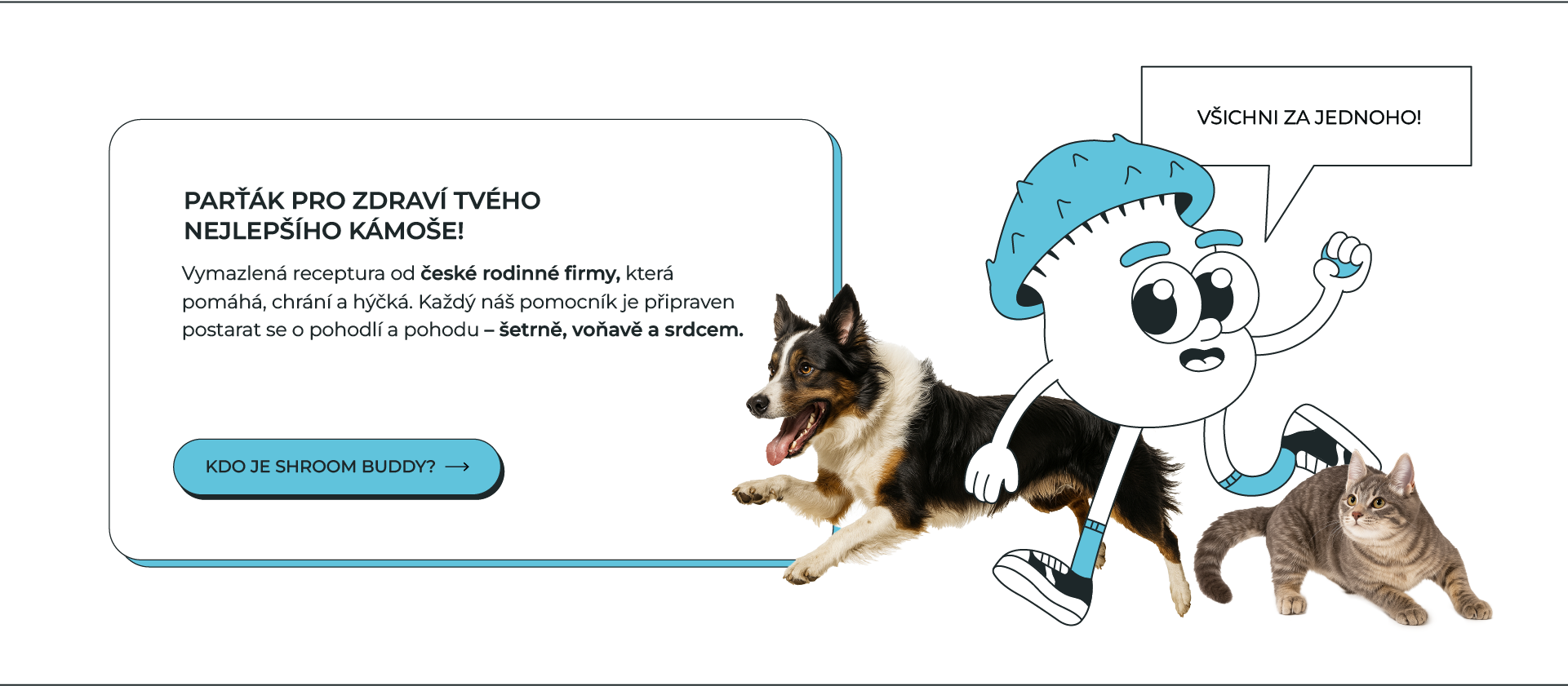 Shroom Buddy – Parťák pro zdraví tvého nejlepšího kámoše!
