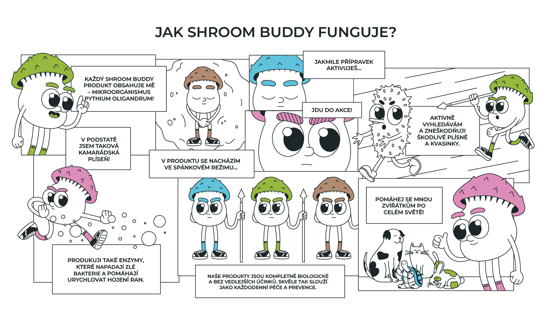 Shroom Buddy - značka která spojuje
