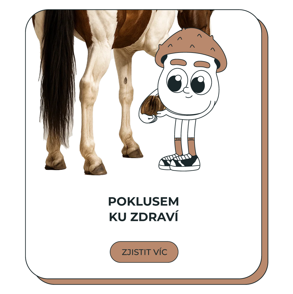 Rady pro koně