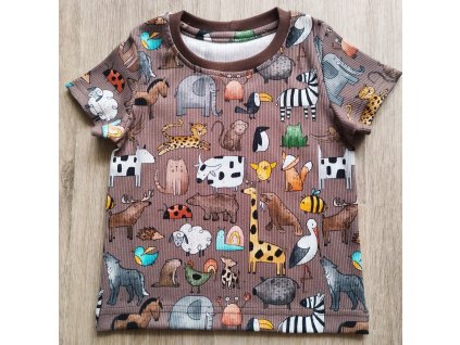 515055697 1286318546829313 7651083590223388041 n