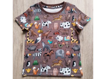 514402058 1286318613495973 9113145865289915613 n