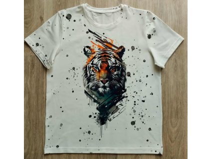 541920792 788654910564528 7899300834873872350 n