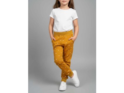 552111319 1134678525266797 6143526822491528851 n