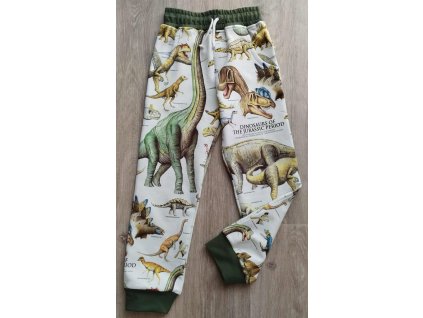 552663732 25033018979654919 7075142855382552358 n