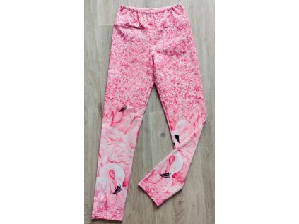 551785919 2380891442308669 5019686893160863274 n