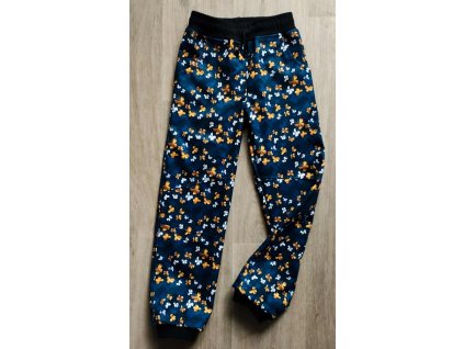 551591080 4201421646792639 2790317858996085956 n (2)