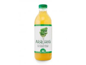 aloe vera stava