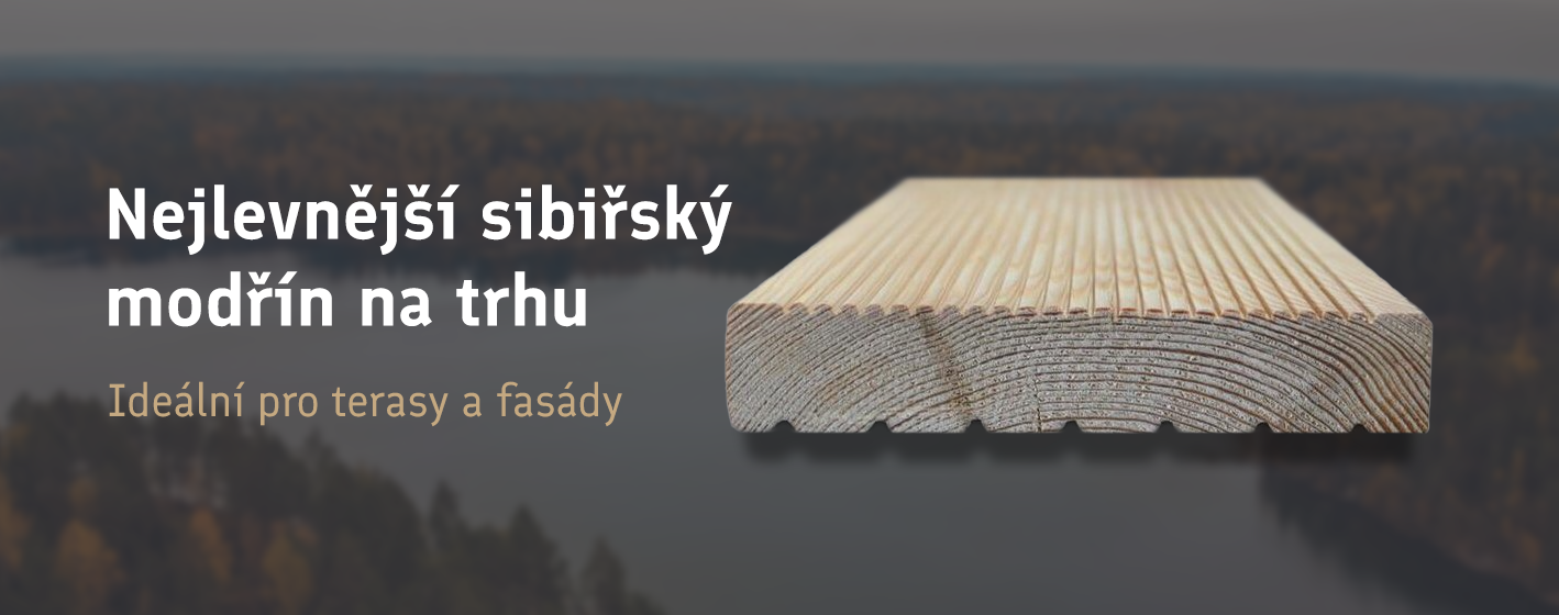 Sibiřský modřín