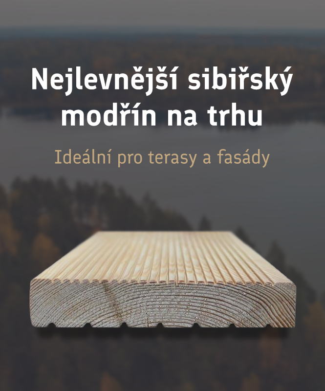 Sibiřský modřín