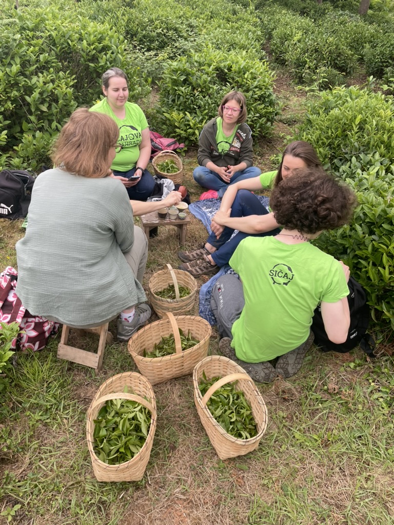 CRAFT YOUR OWN TEA 23-30.5. 2026