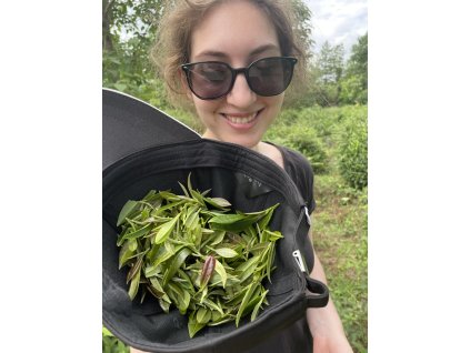 3571313E C812 41B4 B508 A3F1FC3E617B 1 105 c