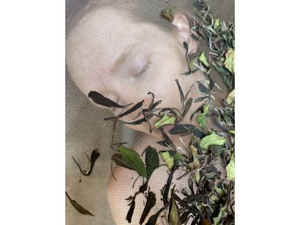 278046D4 53F2 4686 8D56 54A494384ED5 1 105 c