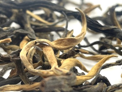 D5EAA16D 2876 4D6D BB6D 83467C46483F 1 201 a