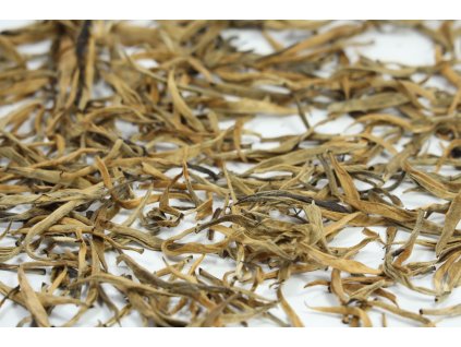 Golden Needles Mt. Kenya 2026