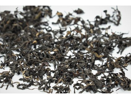 Srpnový Guguli 2024