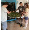 Sold out - Craft your own tea 23-30.5. 2026
