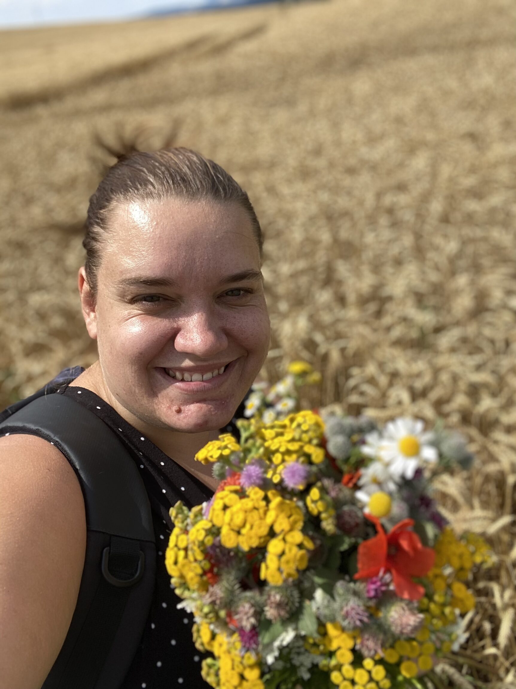 Kdo stojí za Sichrovkou