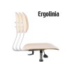 ERGOLINIA EVO4 c