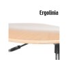 ERGOLINIA EVO4 d